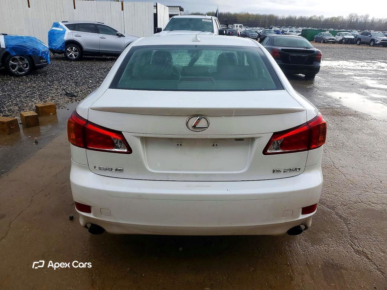 Lexus IS 2010