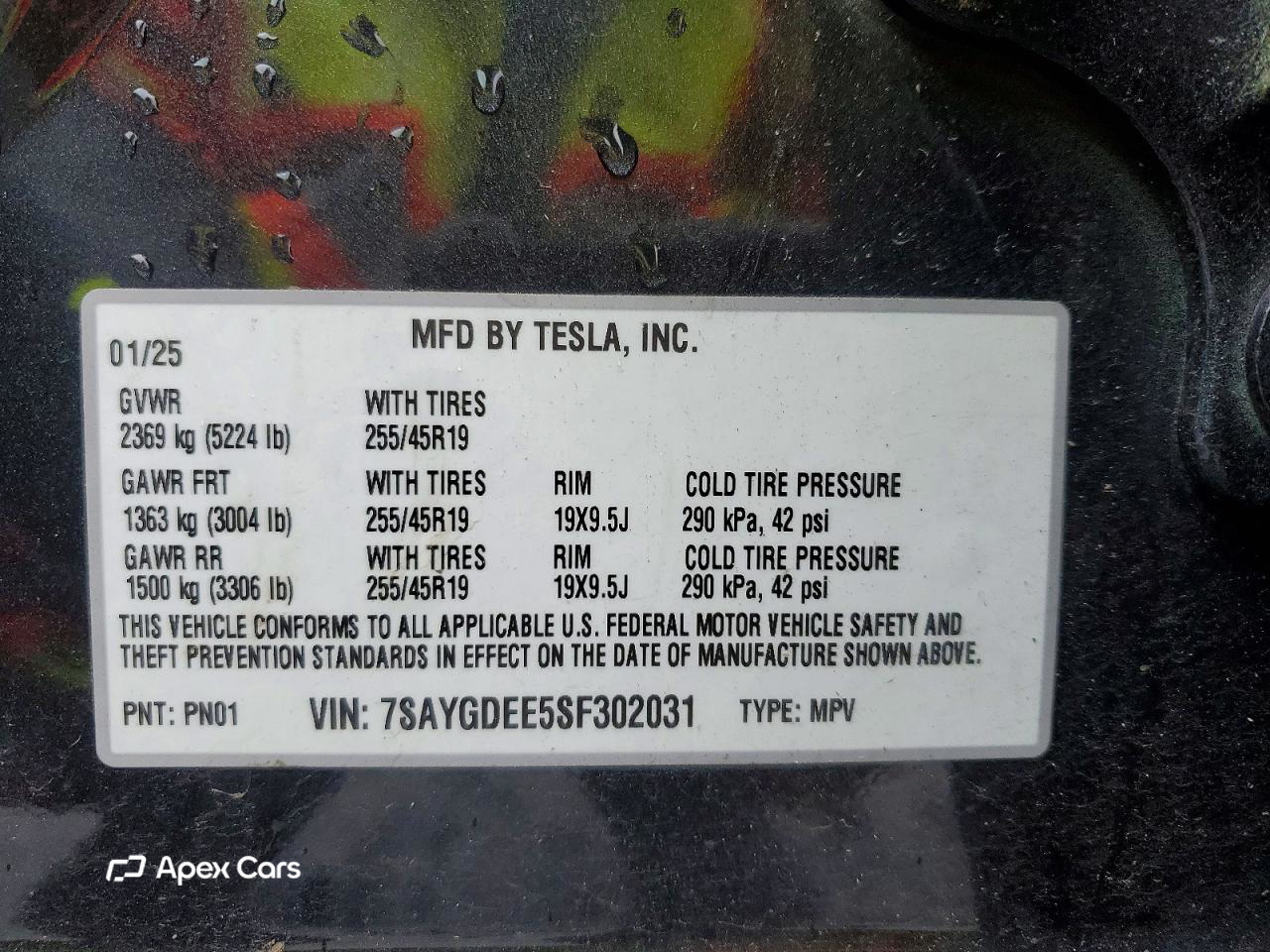 Tesla Model Y 2025