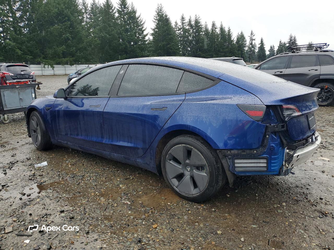 Tesla Model 3 2021