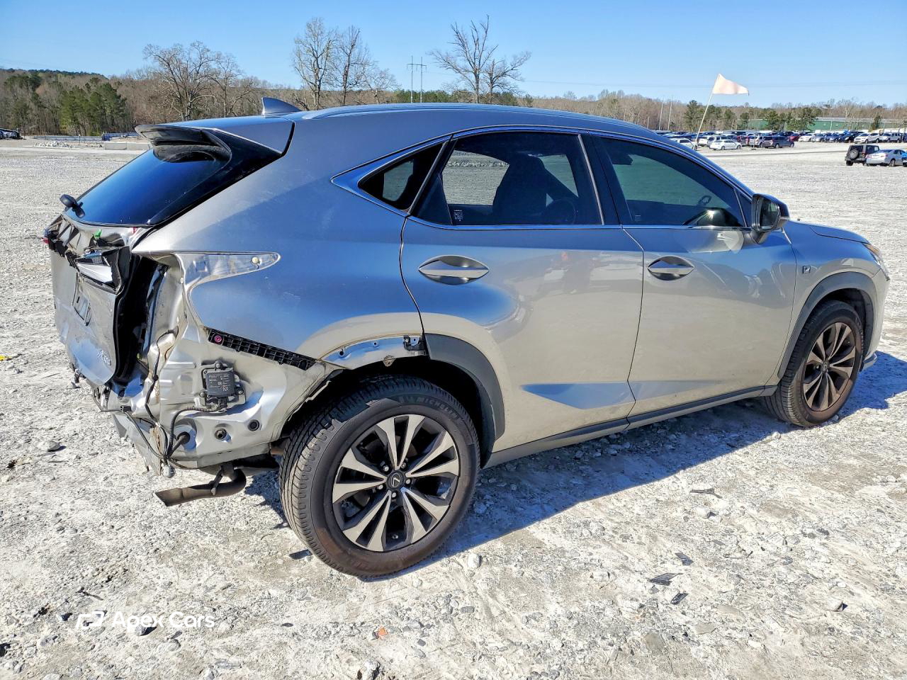 Lexus NX 2019