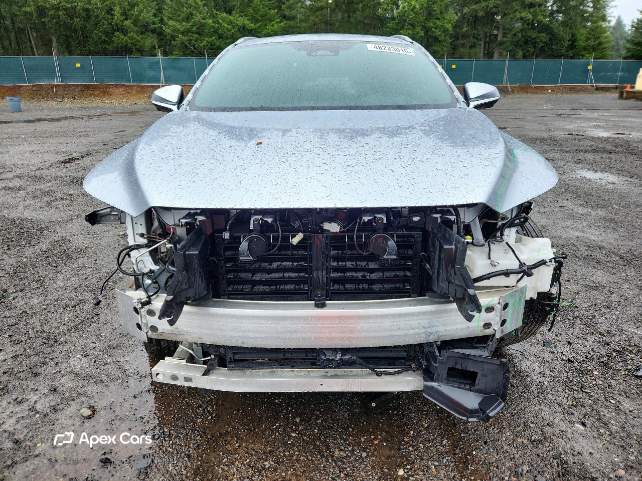 Lexus RX 2024