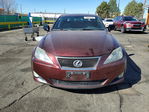 Lexus IS 2006