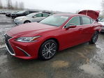 Lexus ES 2025
