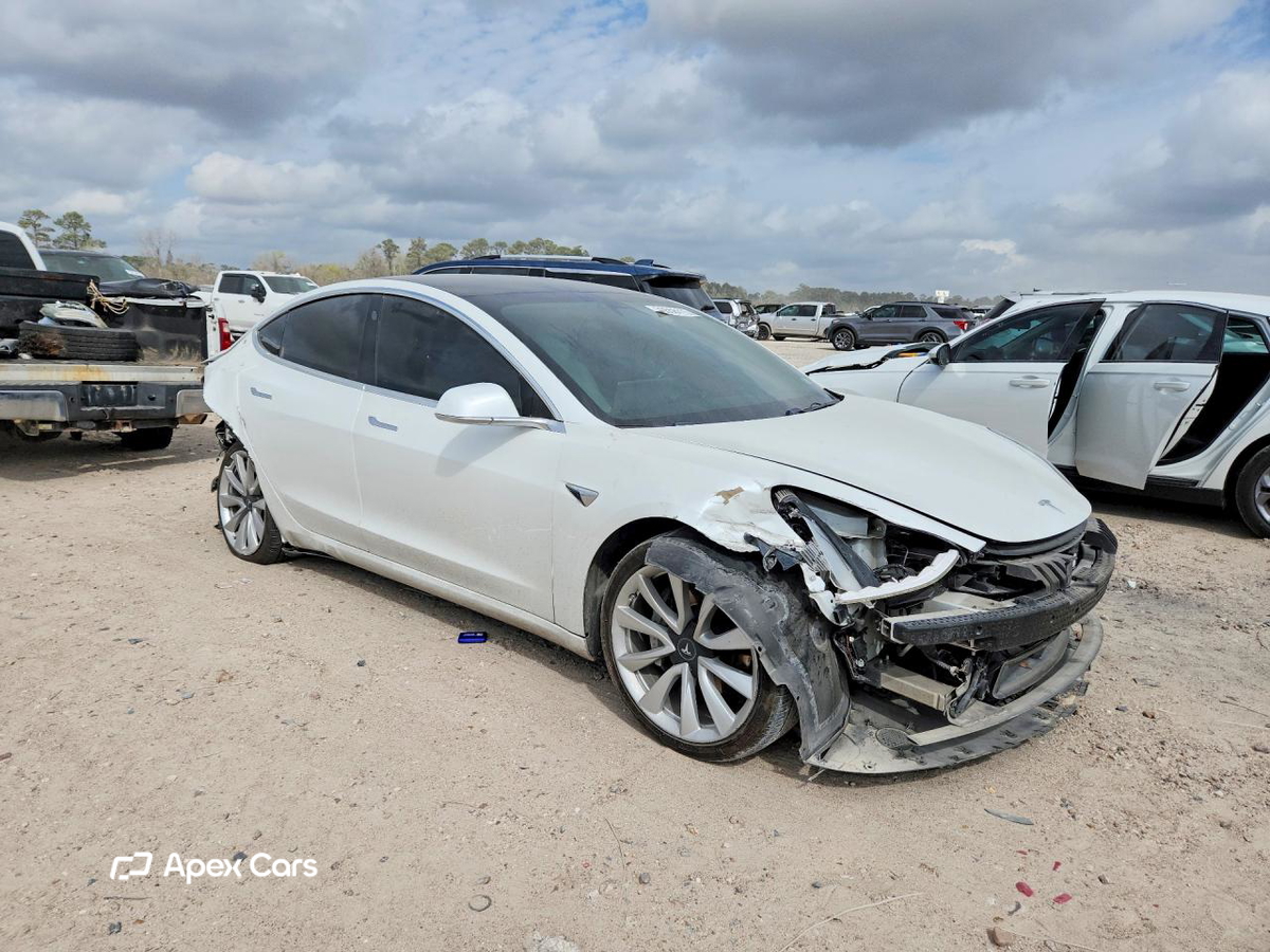 Tesla Model 3 2019