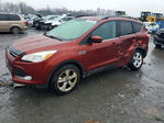 Ford Escape 2014