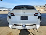 Tesla Model Y 2020