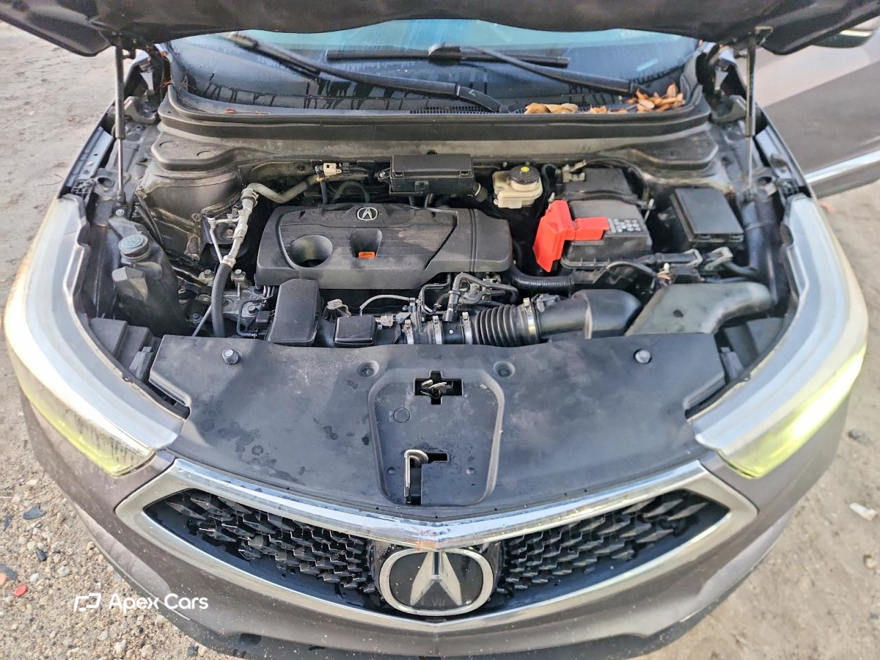 Acura RDX 2020