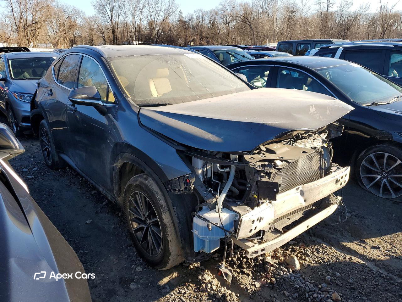 Lexus NX 2024