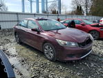 Honda Accord 2013