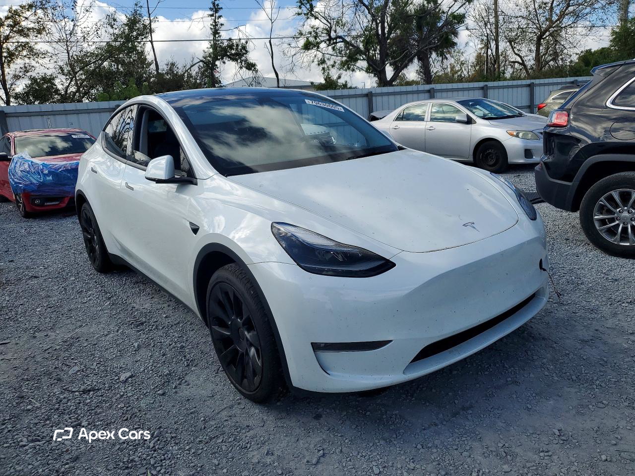 Tesla Model Y 2025