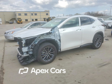 Lexus NX 2025 - Image 1 of 14