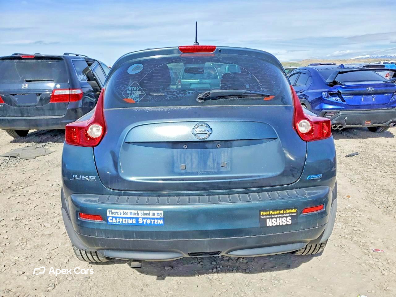 Nissan Juke 2013