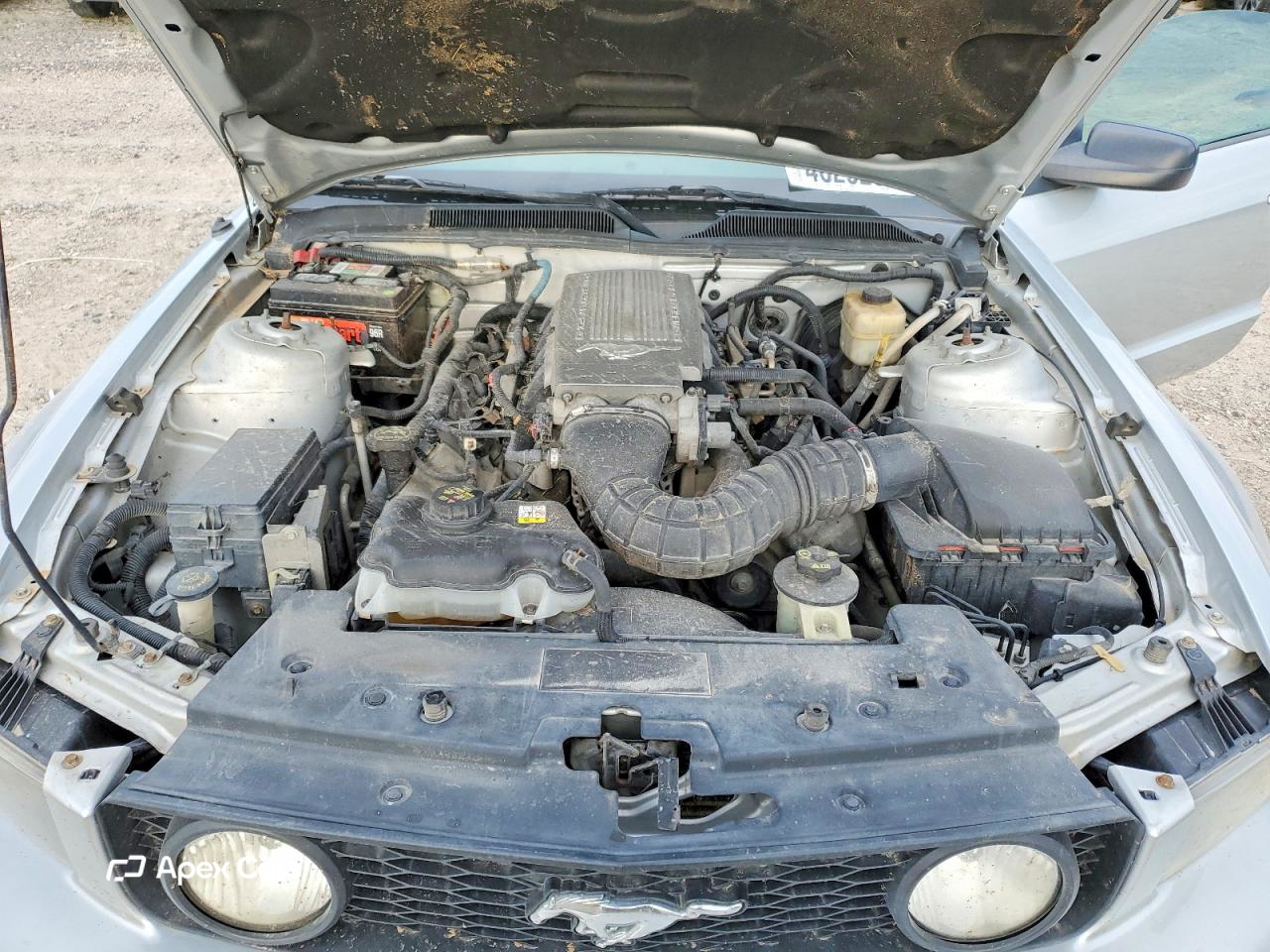 Ford Mustang 2007