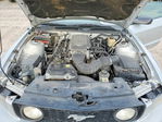 Ford Mustang 2007