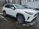 Toyota RAV 4 2025