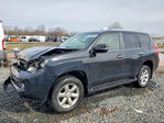 Lexus GX 2011