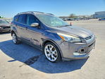 Ford Escape 2013