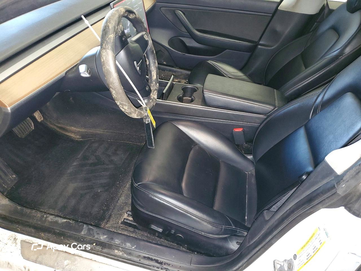 Tesla Model 3 2019