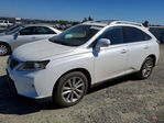 Lexus RX 2013
