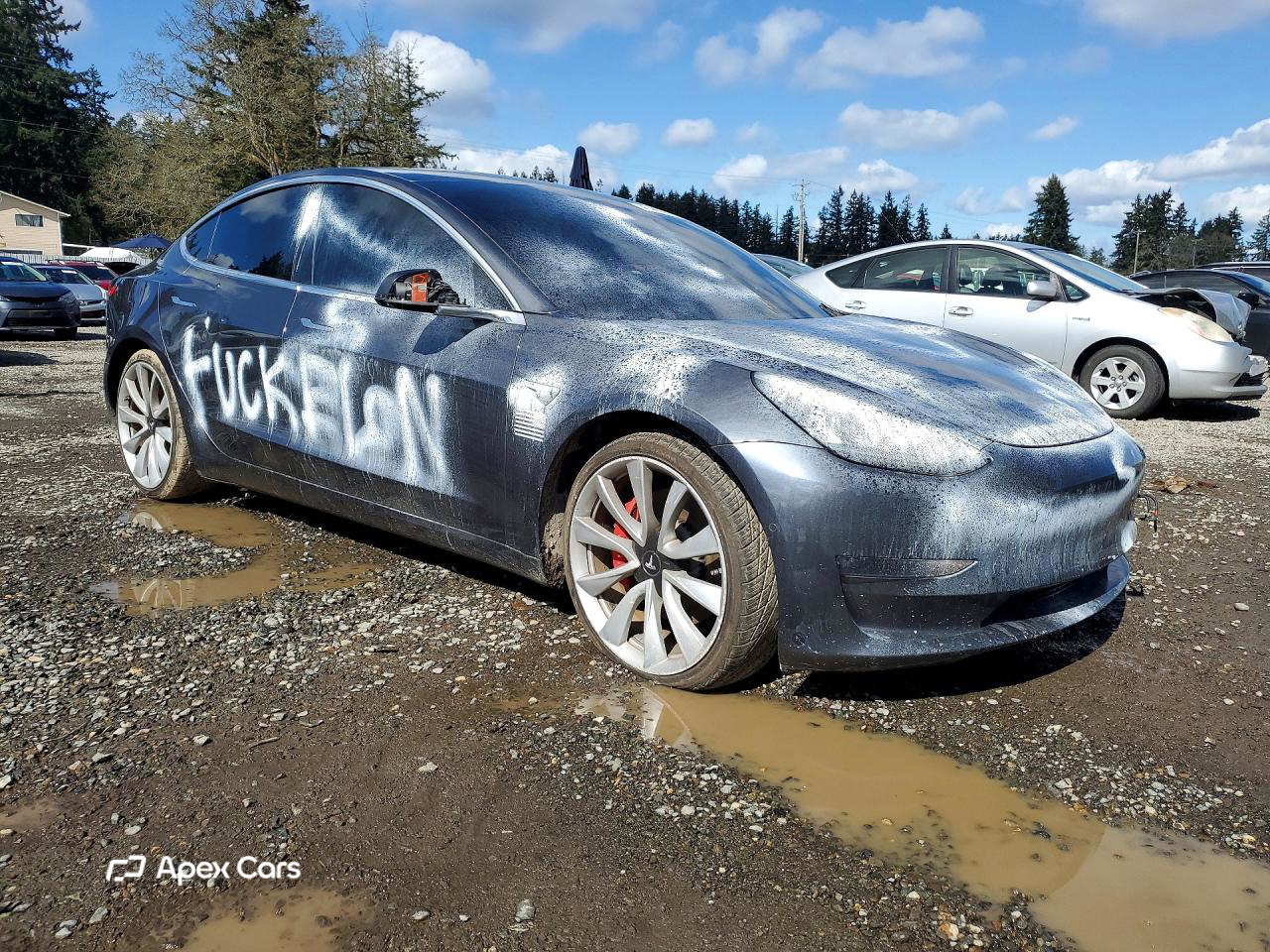 Tesla Model 3 2018