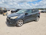 Ford Escape 2015