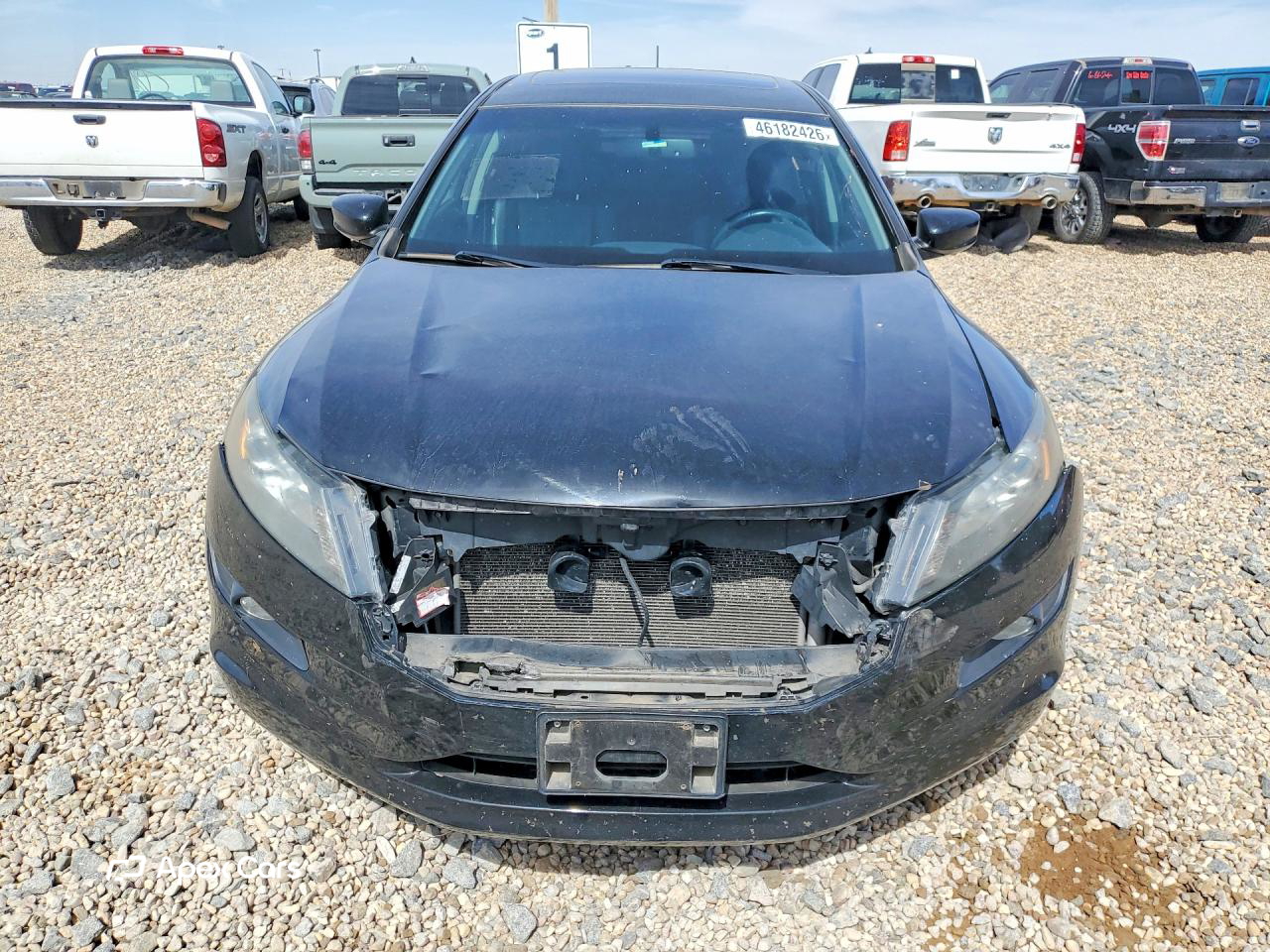 Honda Crosstour 2012