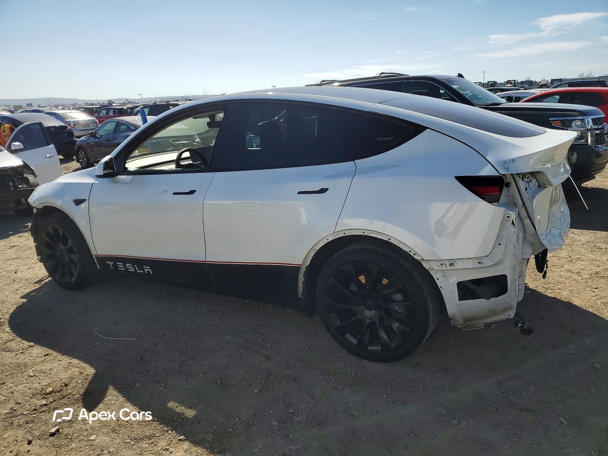 Tesla Model Y 2020