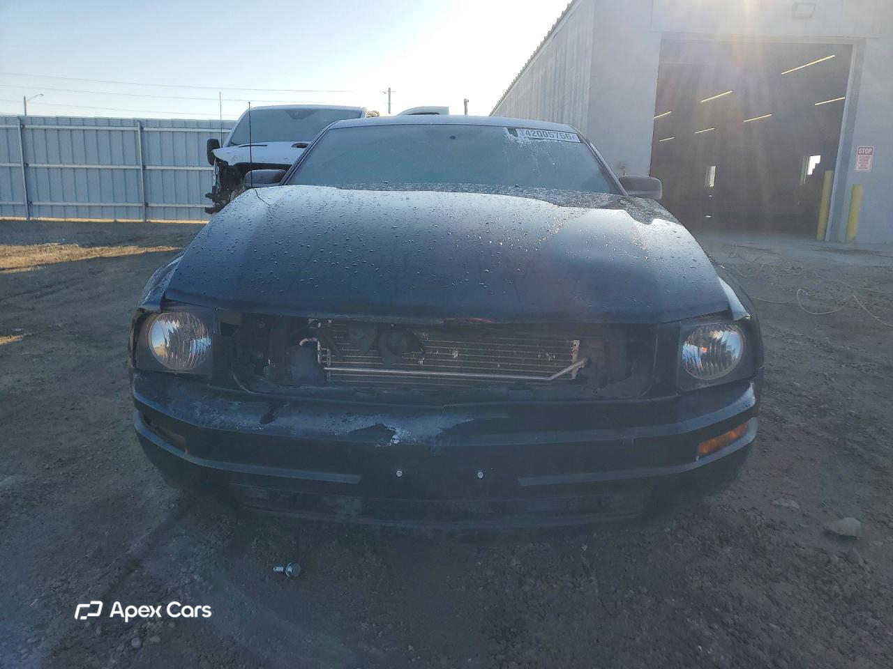 Ford Mustang 2009
