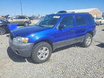 Ford Escape 2005