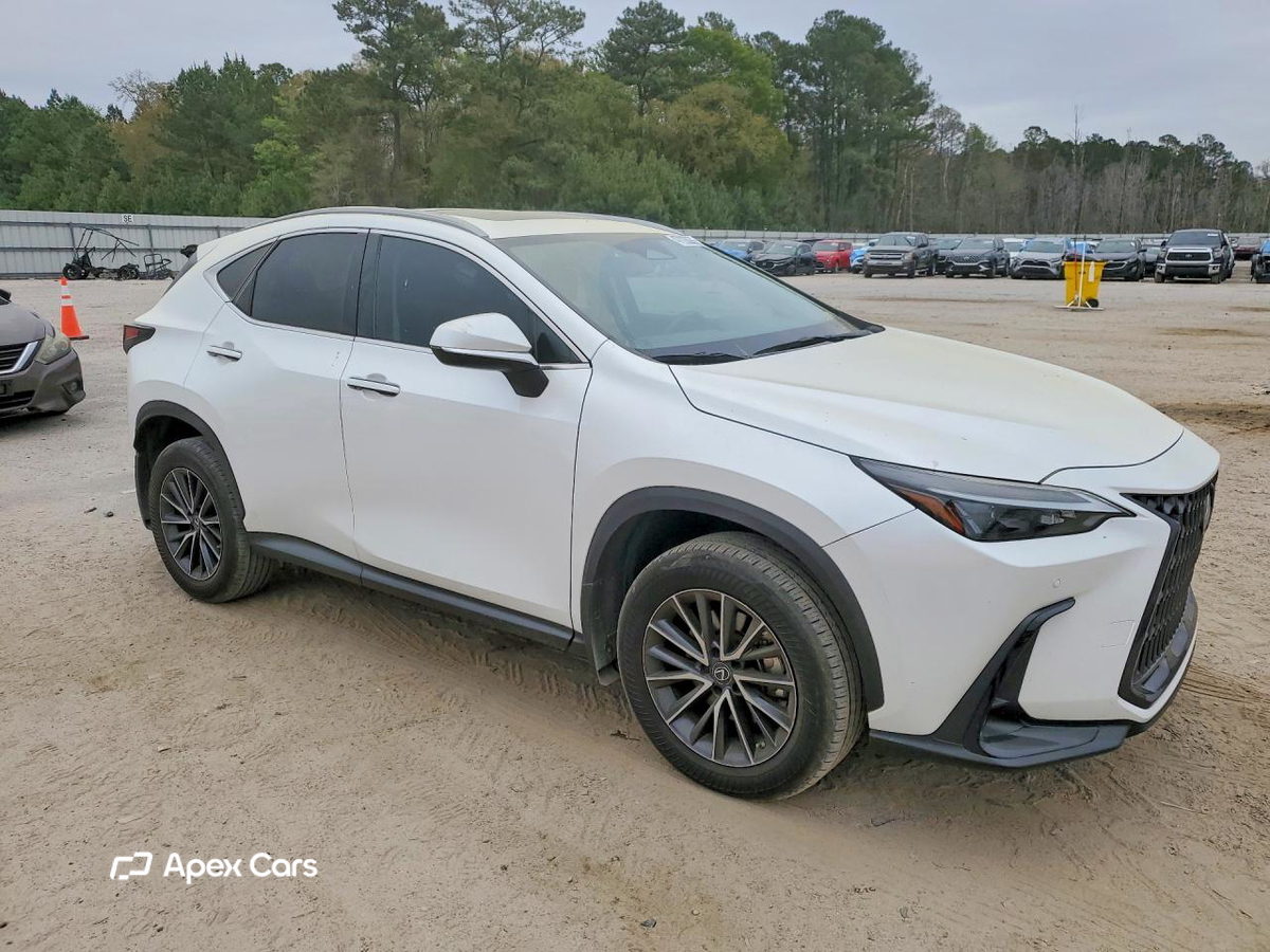 Lexus NX 2023
