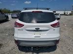 Ford Escape 2016