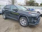 Toyota RAV 4 2019