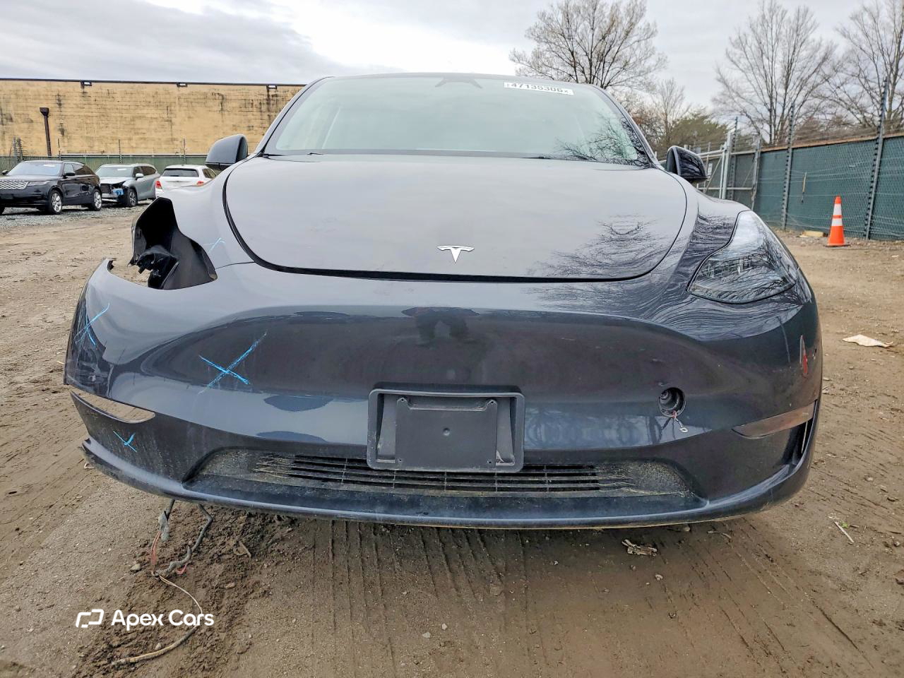 Tesla Model Y 2024