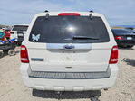 Ford Escape 2011