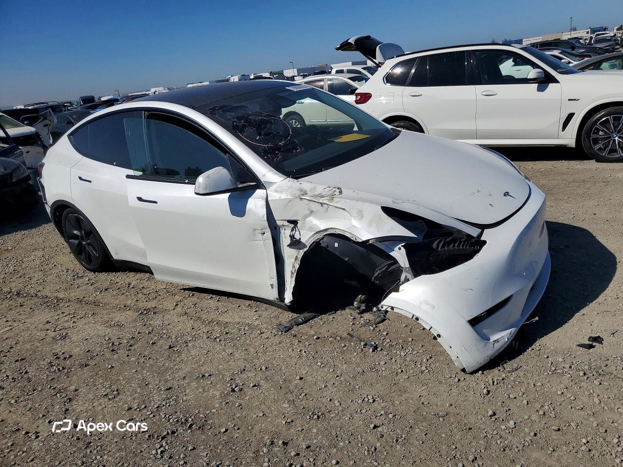 Tesla Model Y 2024