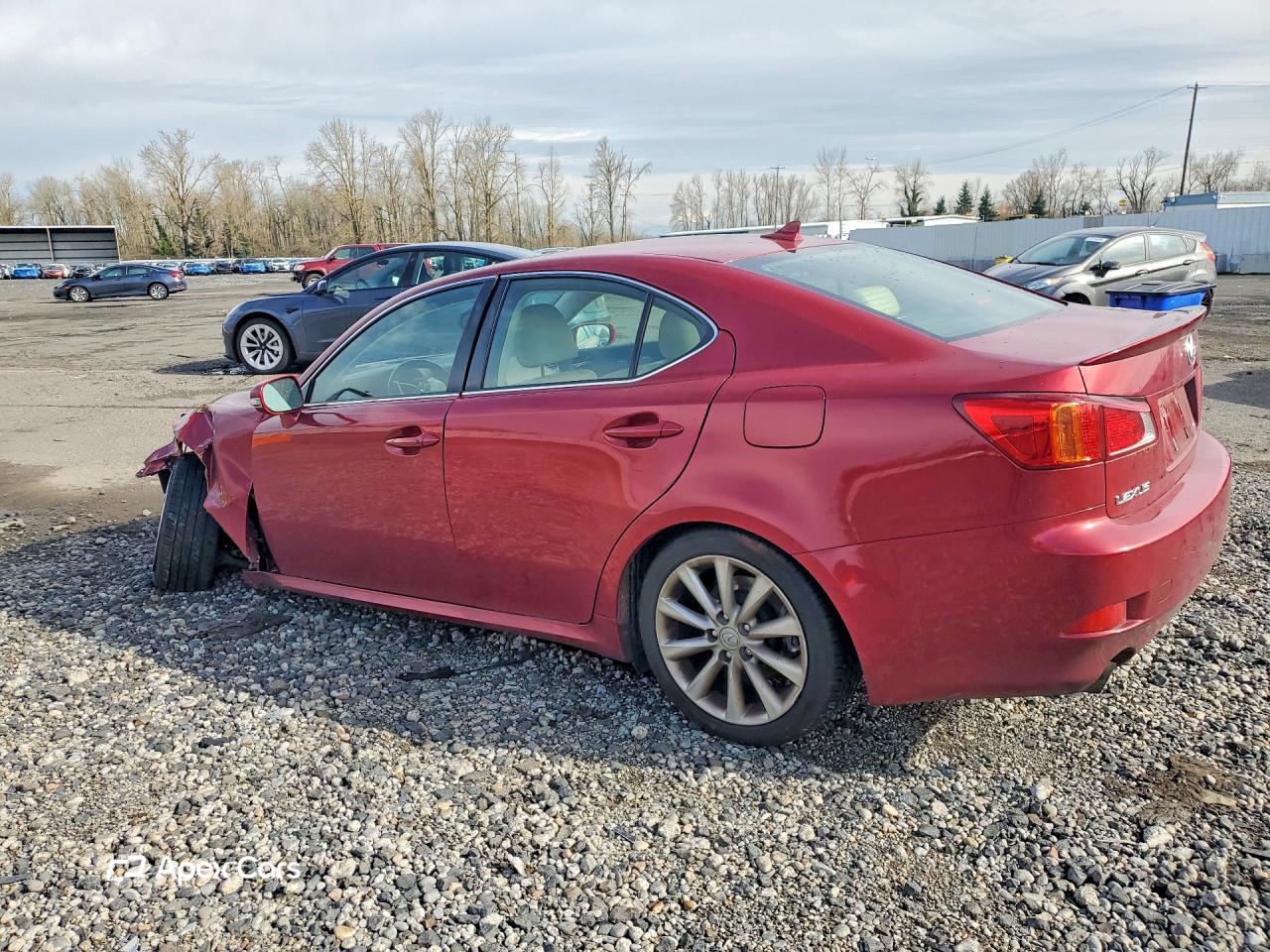 Lexus IS 2009