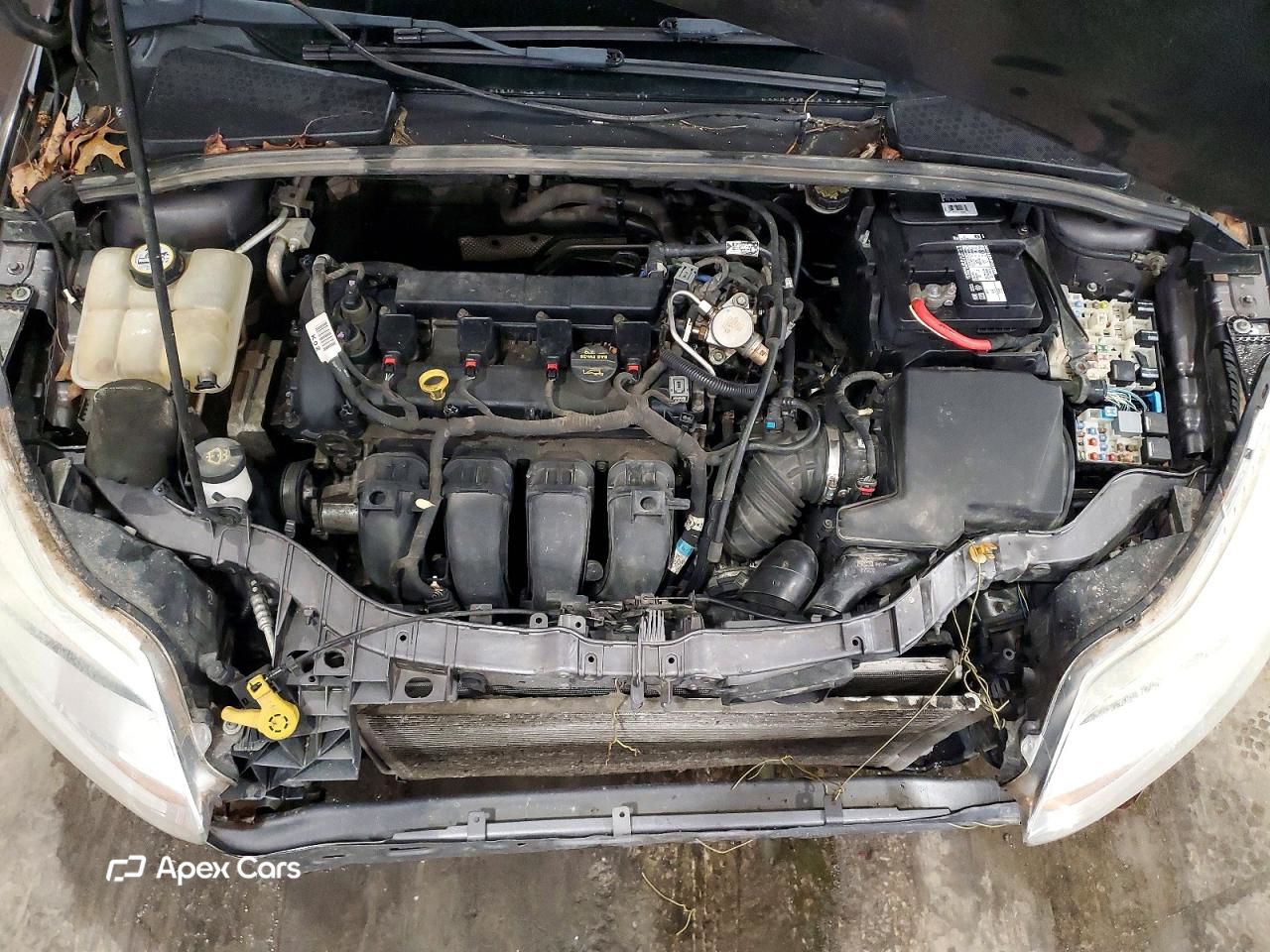 Ford Focus 2013