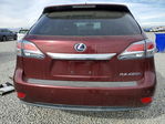 Lexus RX 2013