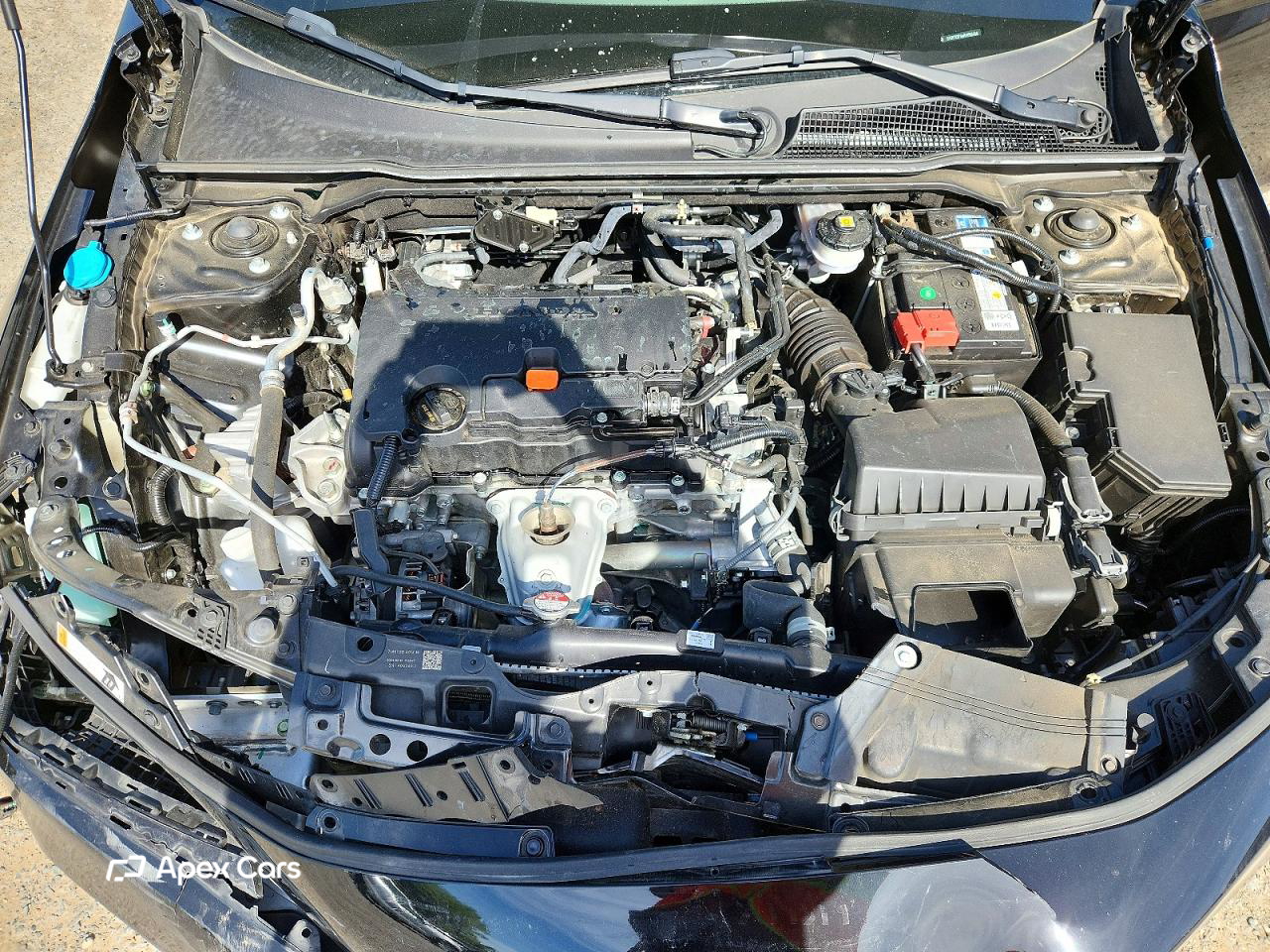 Honda Civic 2024