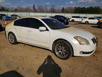 Nissan Maxima 2006