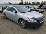 Nissan Maxima 2010