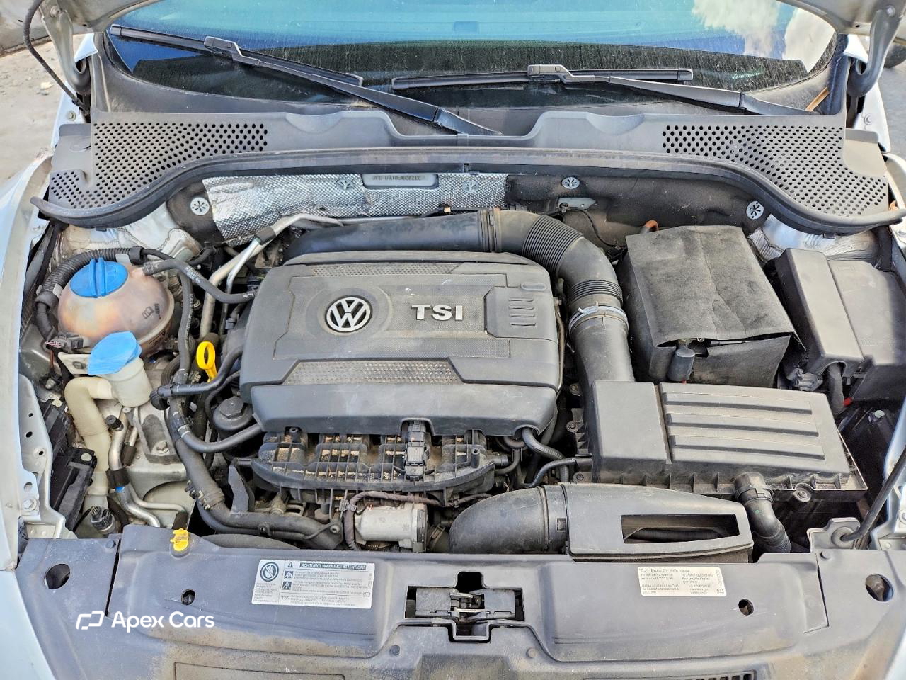 Volkswagen Beetle 2014