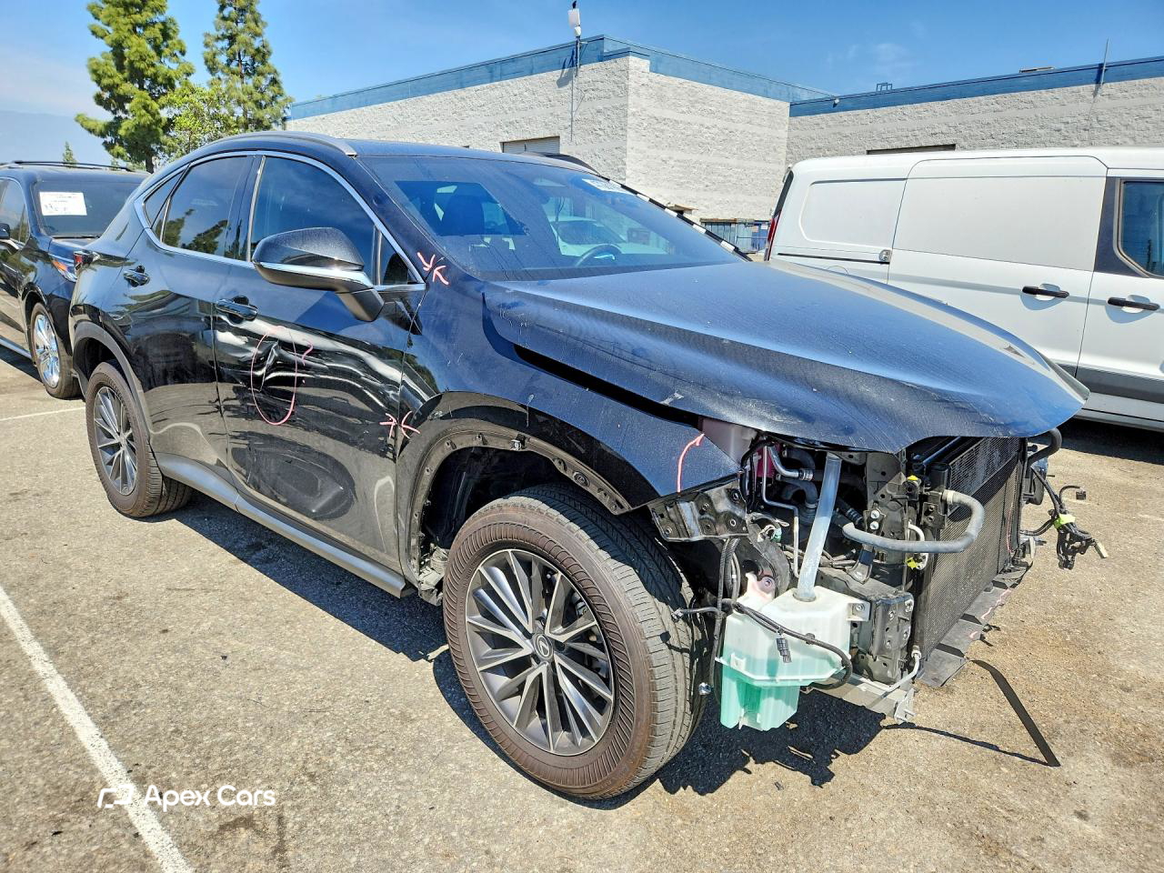 Lexus NX 2024