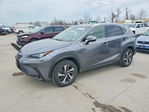 Lexus NX 2019