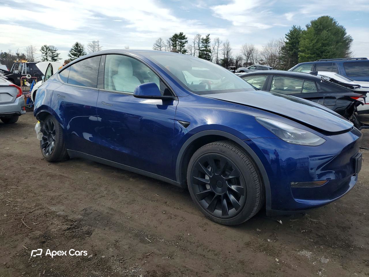 Tesla Model Y 2024