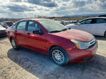 Ford Focus 2010