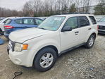Ford Escape 2009