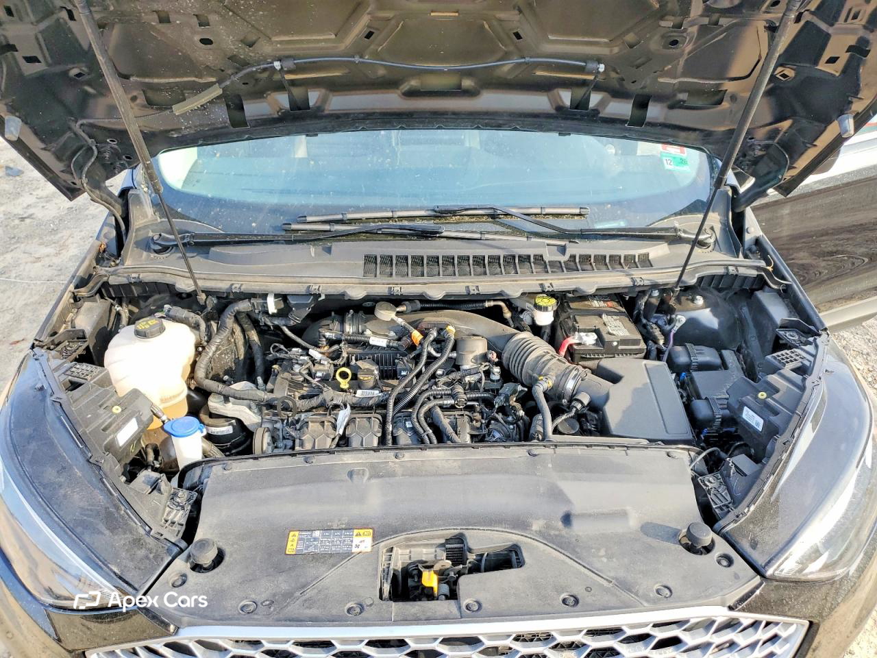 Ford Edge 2024