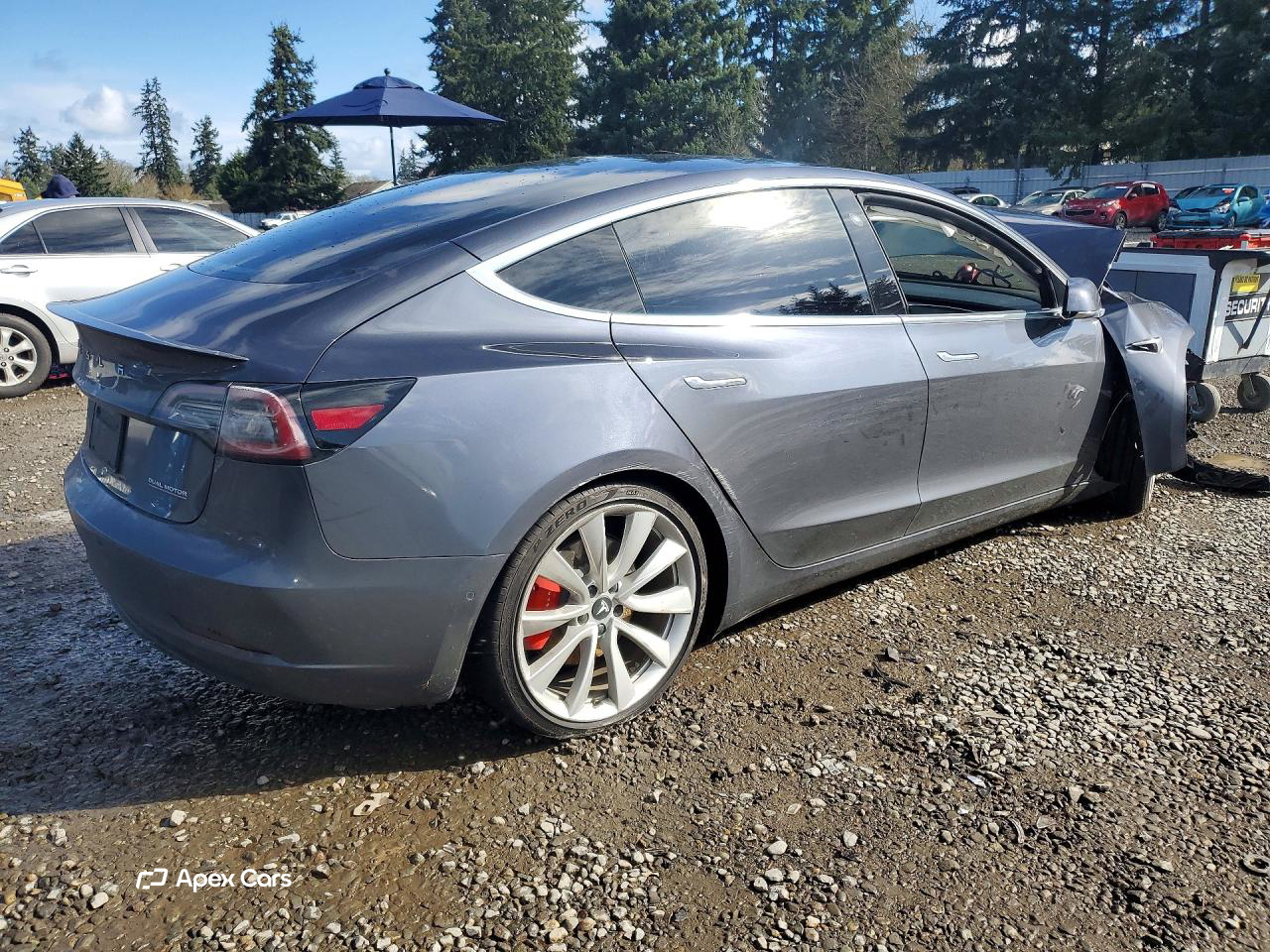 Tesla Model 3 2019
