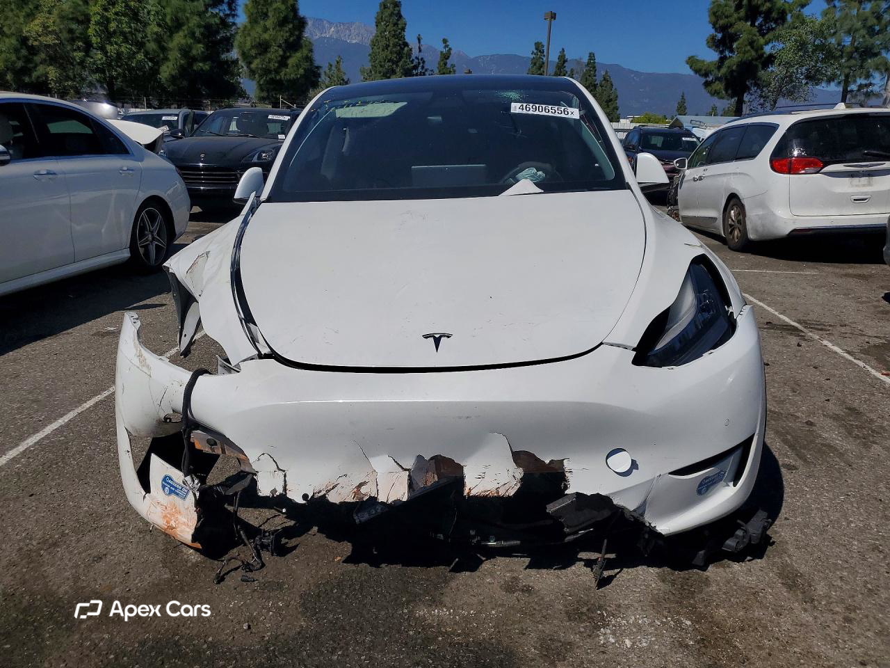 Tesla Model Y 2020